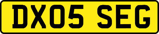 DX05SEG