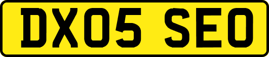 DX05SEO