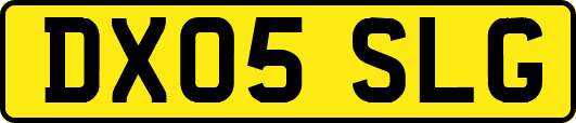DX05SLG