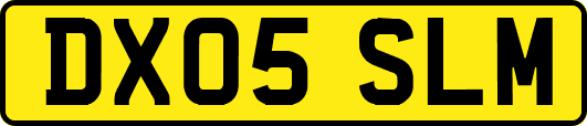 DX05SLM