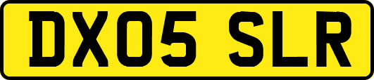 DX05SLR