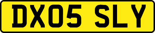 DX05SLY