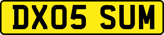 DX05SUM