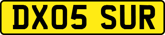 DX05SUR