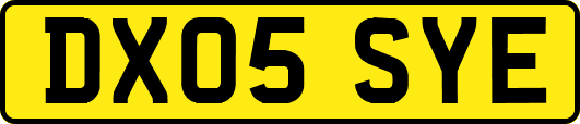 DX05SYE