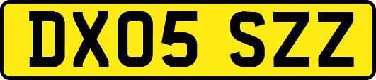 DX05SZZ