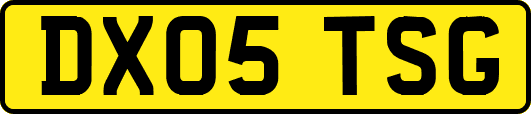 DX05TSG