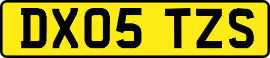 DX05TZS