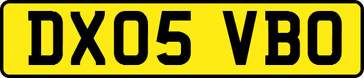DX05VBO