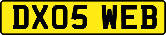 DX05WEB
