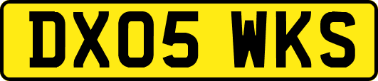 DX05WKS