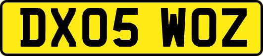 DX05WOZ