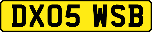 DX05WSB
