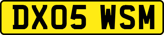 DX05WSM