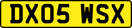 DX05WSX