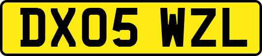 DX05WZL