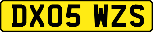 DX05WZS