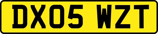 DX05WZT