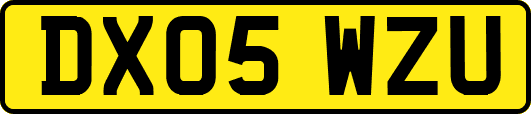 DX05WZU