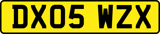 DX05WZX