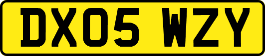 DX05WZY