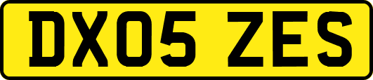 DX05ZES
