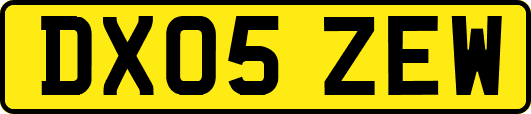 DX05ZEW