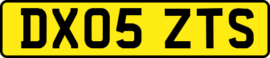 DX05ZTS
