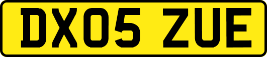 DX05ZUE