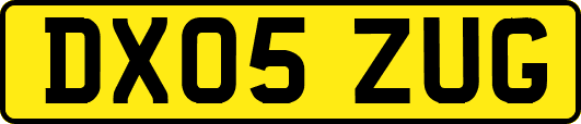 DX05ZUG
