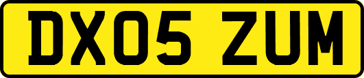 DX05ZUM