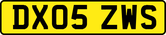 DX05ZWS