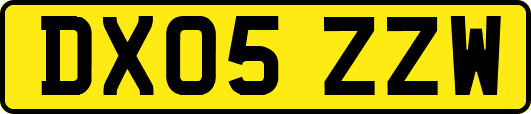 DX05ZZW