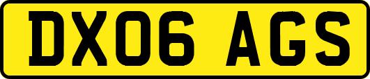 DX06AGS