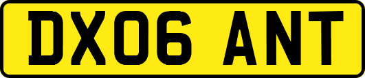 DX06ANT