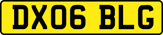 DX06BLG