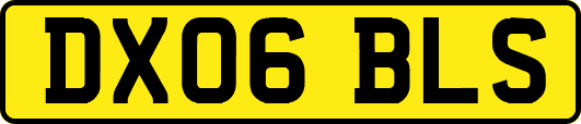 DX06BLS