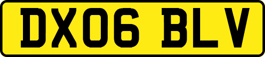 DX06BLV