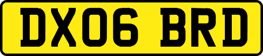 DX06BRD