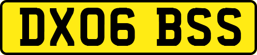 DX06BSS