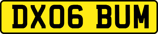 DX06BUM