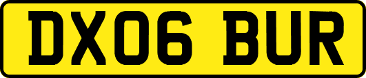 DX06BUR