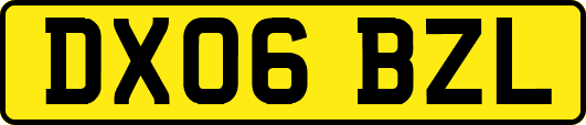 DX06BZL