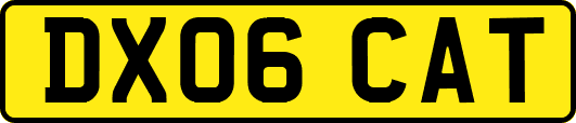 DX06CAT