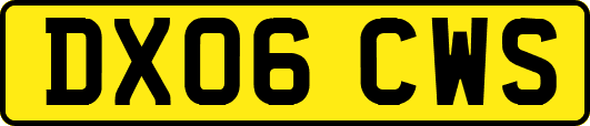 DX06CWS