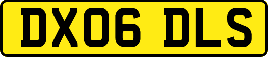 DX06DLS