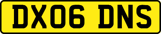 DX06DNS