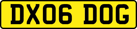 DX06DOG