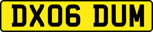 DX06DUM