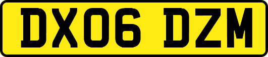DX06DZM